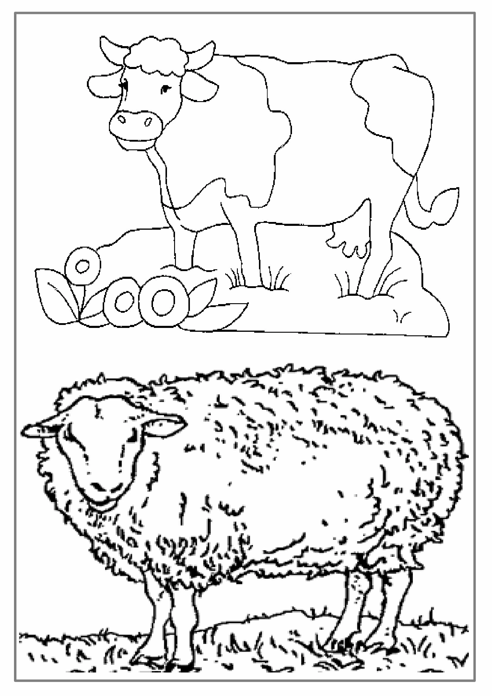 Joli coloriage Animaux de ferme #21629 de la collection Animaux, prêt à imprimer pour petits et grands