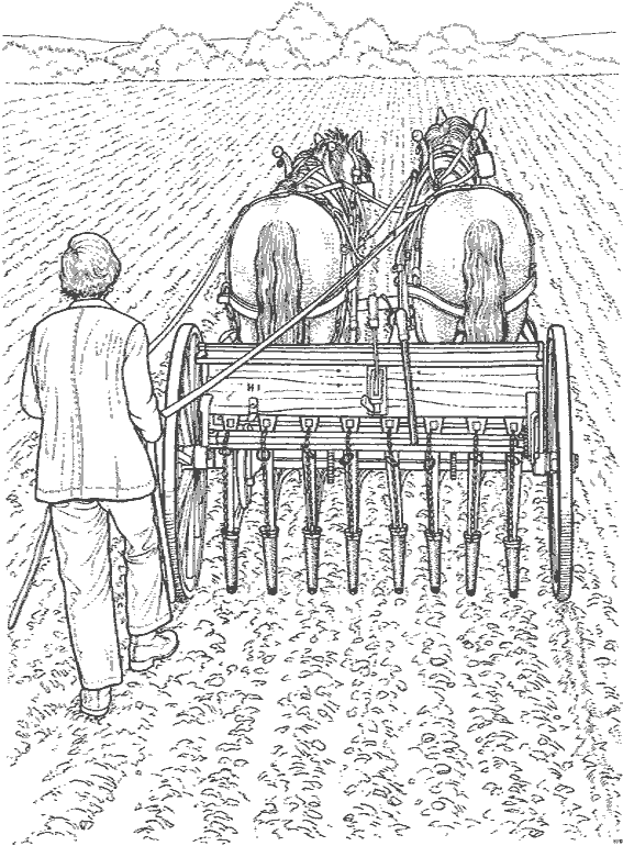 Coloriage gratuit Animaux de ferme #21653 de la collection Animaux à imprimer