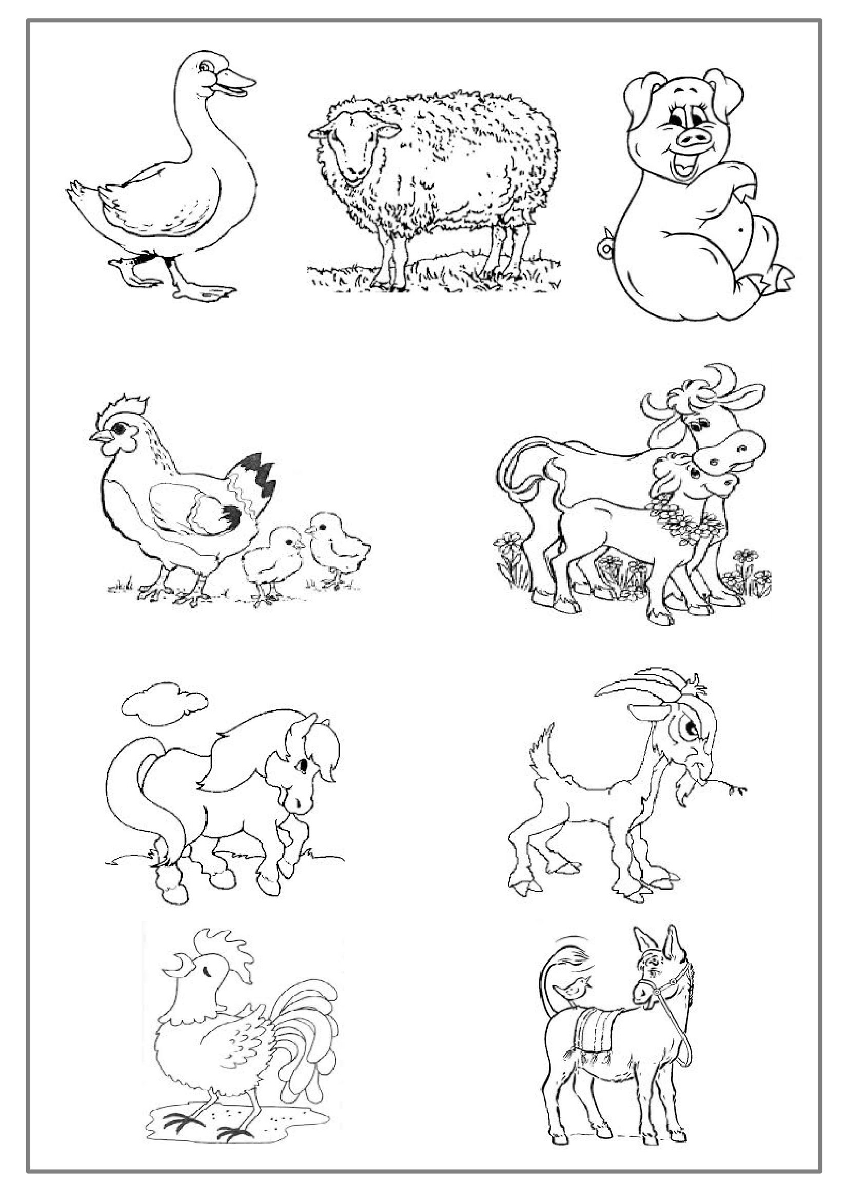 Dessin à colorier: Animaux de la ferme (Animaux) #21424 - Coloriages à Imprimer Gratuits