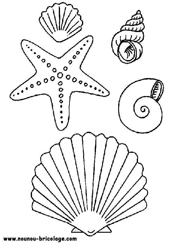 Dessin à colorier: Animaux marins (Animaux) #21987 - Coloriages à imprimer