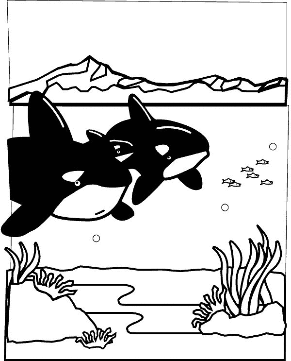 Dessin à colorier: Animaux marins (Animaux) #22133 - Coloriages à imprimer