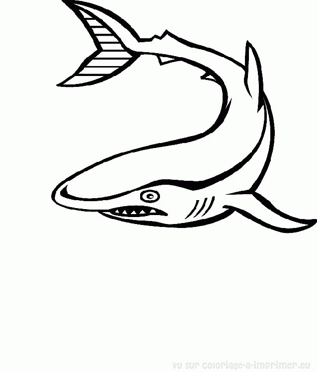 Dessin à colorier: Animaux marins (Animaux) #22144 - Coloriages à imprimer