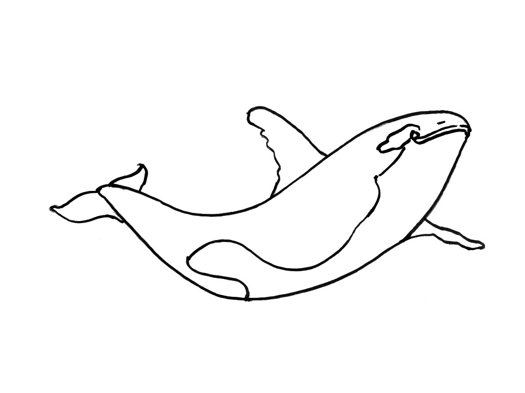 Dessin à colorier: Animaux marins (Animaux) #22188 - Coloriages à imprimer