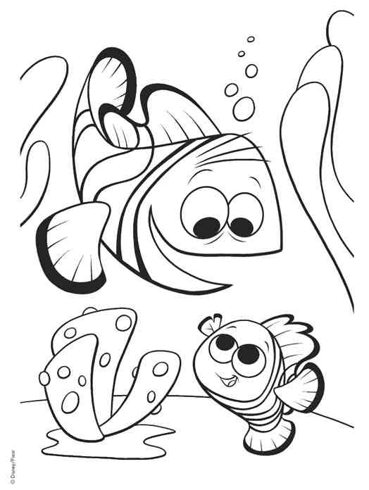 Dessin à colorier: Animaux marins (Animaux) #22201 - Coloriages à imprimer