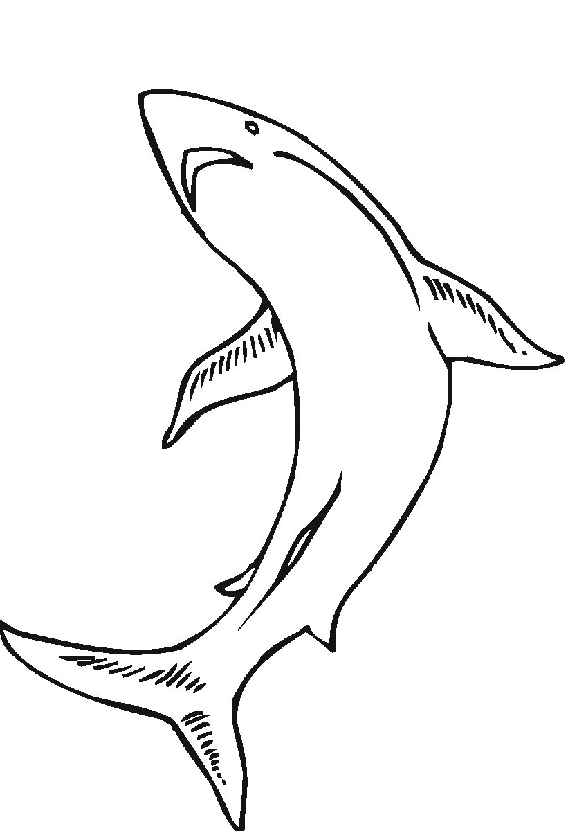 Dessin à colorier: Animaux marins (Animaux) #22255 - Coloriages à imprimer