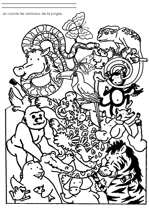 Dessin à colorier: Animaux sauvages / de la jungle (Animaux) #21091 - Coloriages à imprimer