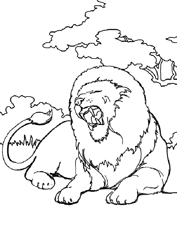 Dessin à colorier: Animaux sauvages / de la jungle (Animaux) #21098 - Coloriages à imprimer