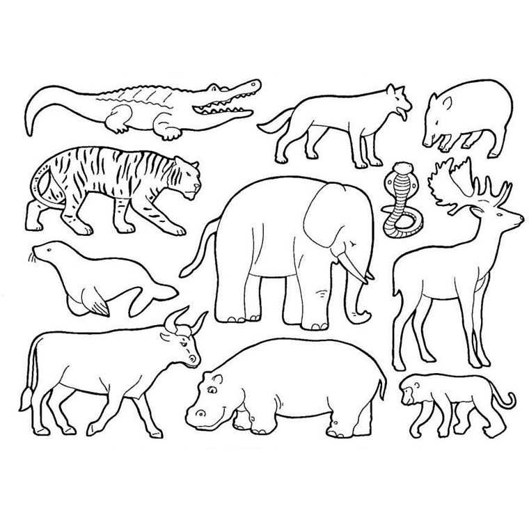 Dessin à colorier: Animaux sauvages / de la jungle (Animaux) #21120 - Coloriages à imprimer