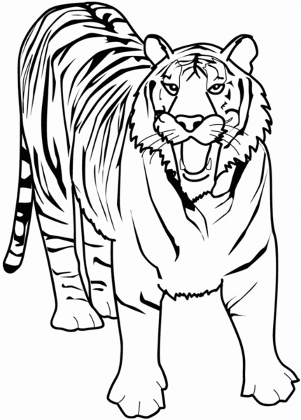 Dessin à colorier: Animaux sauvages / de la jungle (Animaux) #21130 - Coloriages à Imprimer
