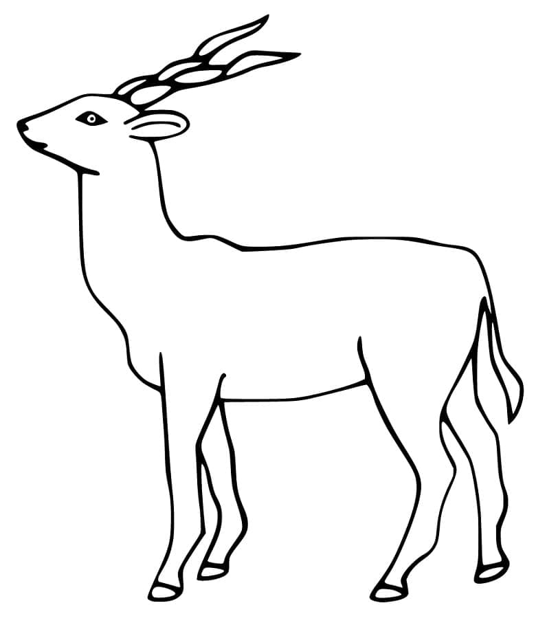 Coloriage gratuit Antilope #210751 de la collection Animaux à imprimer Coloriage gratuit Antilope #210751 de la collection Animaux à imprimer