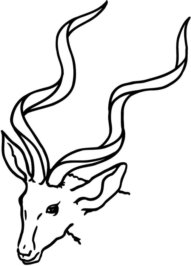Dessin à colorier: Antilope (Animaux) #22590 - Coloriages à imprimer