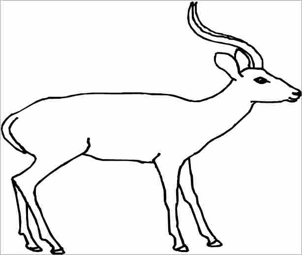 Dessin à colorier: Antilope (Animaux) #22591 - Coloriages à Imprimer Gratuits