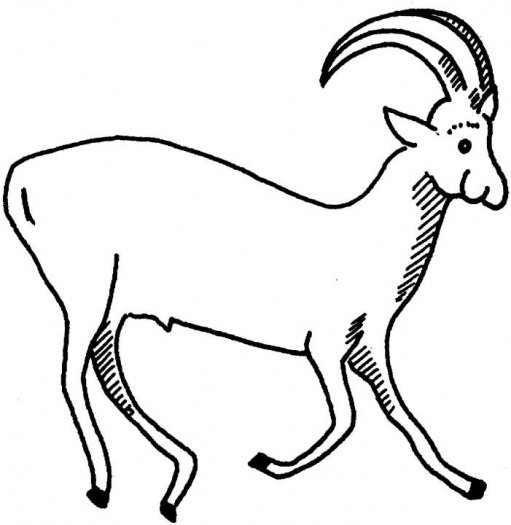 Dessin à colorier: Antilope (Animaux) #22592 - Coloriages à imprimer