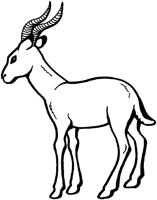 Dessin à colorier: Antilope (Animaux) #22599 - Coloriages à imprimer