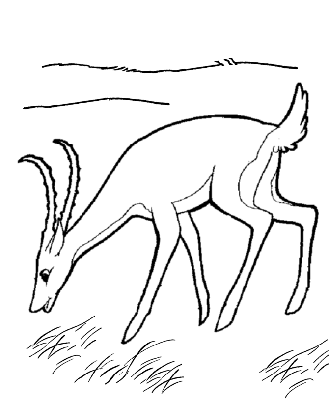 Dessin à colorier: Antilope (Animaux) #22633 - Coloriages à imprimer