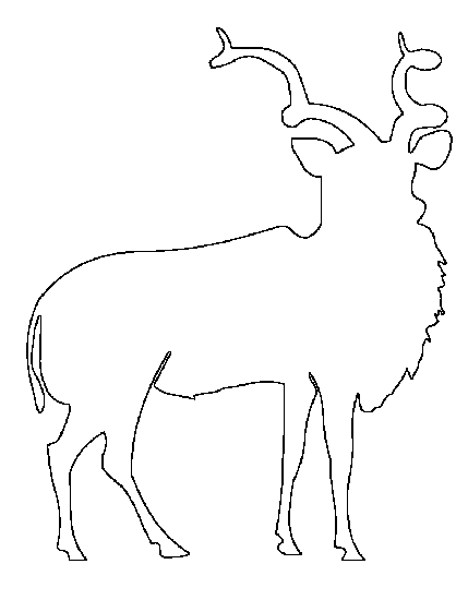 Dessin à colorier: Antilope (Animaux) #22658 - Coloriages à imprimer