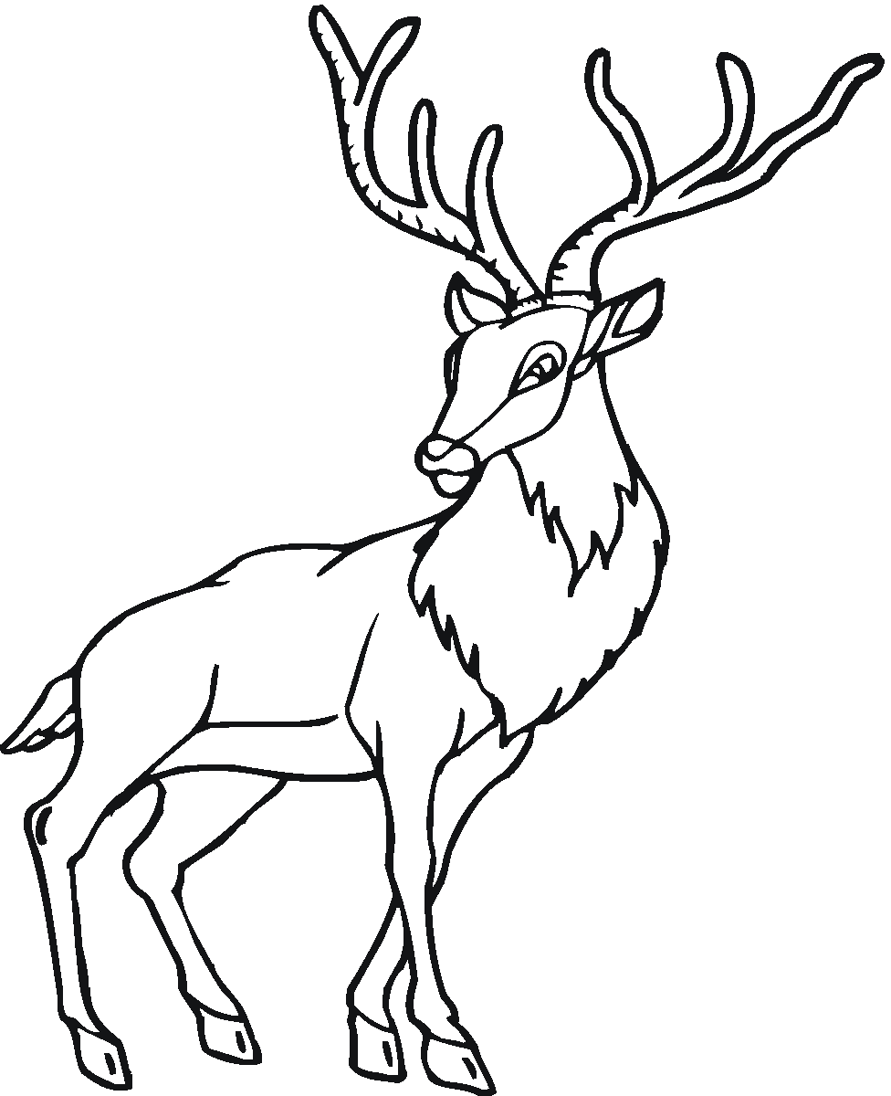 Dessin à colorier: Antilope (Animaux) #22659 - Coloriages à imprimer