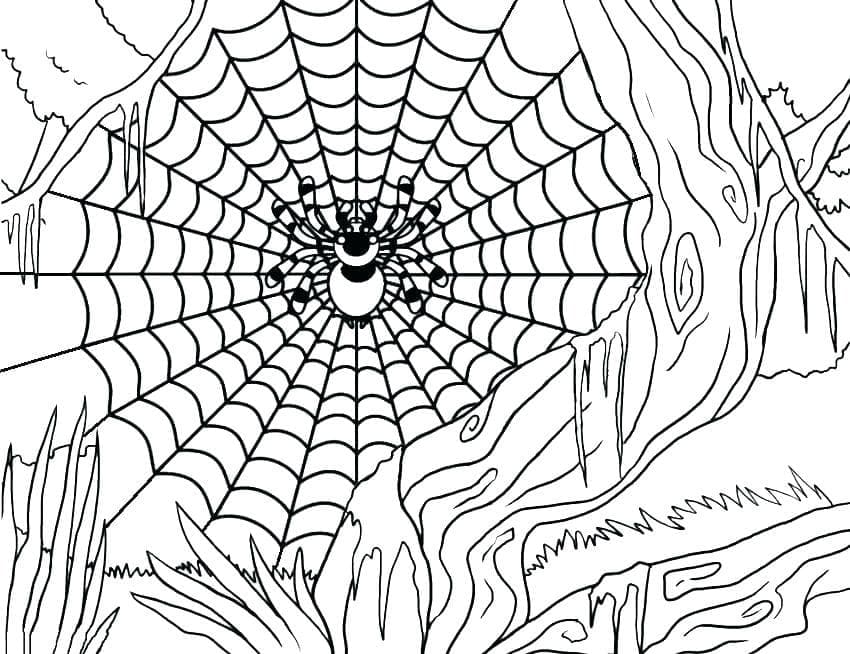 Coloriage gratuit Araignée #184522 de la collection Animaux à imprimer