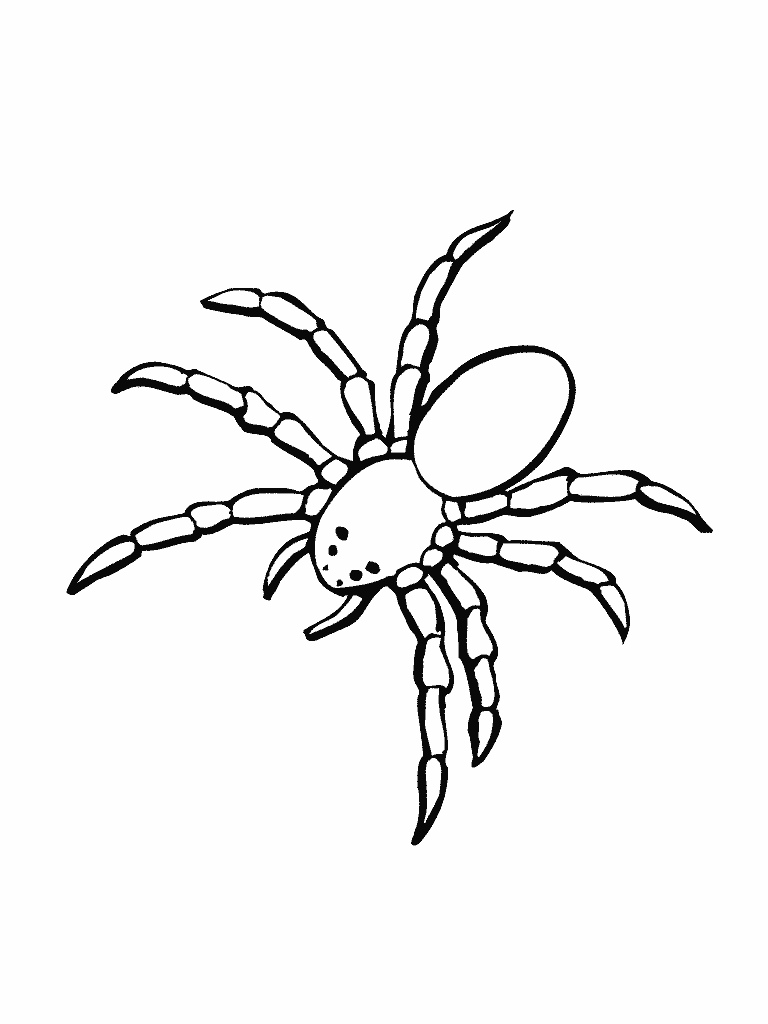 Dessin à colorier: Araignée (Animaux) #583 - Coloriages à imprimer