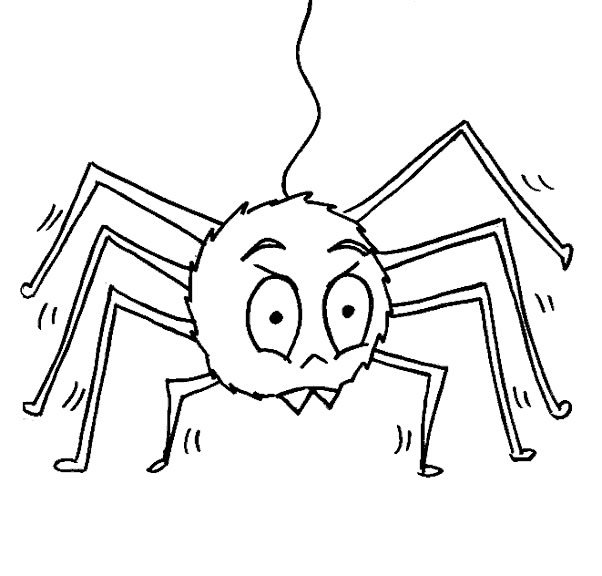 Dessin à colorier: Araignée (Animaux) #585 - Coloriages à imprimer