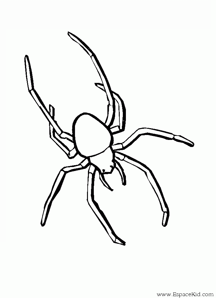Dessin à colorier: Araignée (Animaux) #587 - Coloriages à Imprimer Gratuits