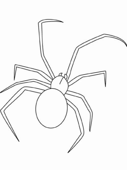 Dessin à colorier: Araignée (Animaux) #613 - Coloriages à imprimer
