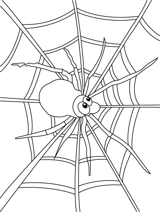 Dessin à colorier: Araignée (Animaux) #648 - Coloriages à Imprimer