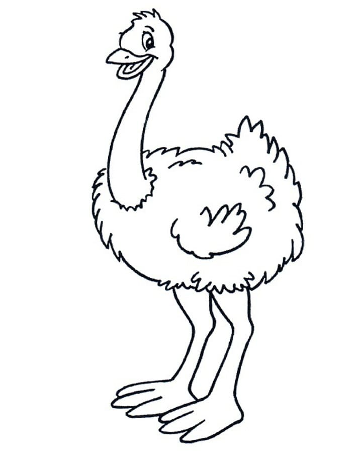 Coloriage gratuit Autruche #204587 de la collection Animaux à imprimer
