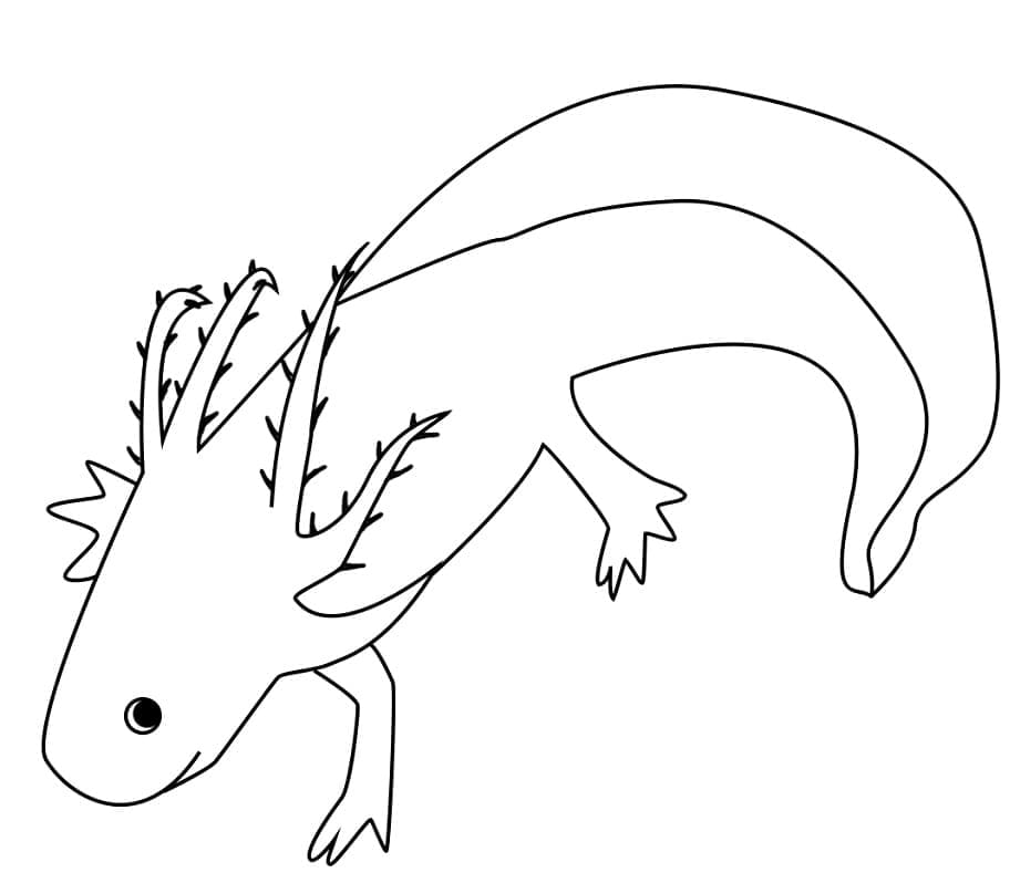 Page de coloriage Axolotl #184583, collection Animaux, à imprimer et colorier
