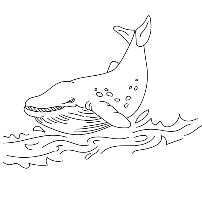 Coloriage gratuit Baleine #184708 de la collection Animaux à imprimer