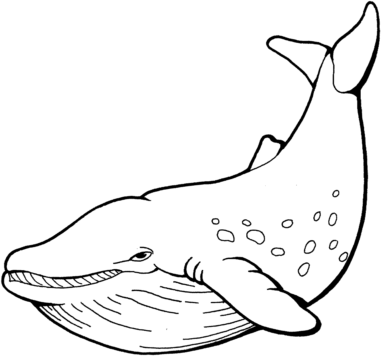 Dessin à colorier: Baleine (Animaux) #866 - Coloriages à imprimer