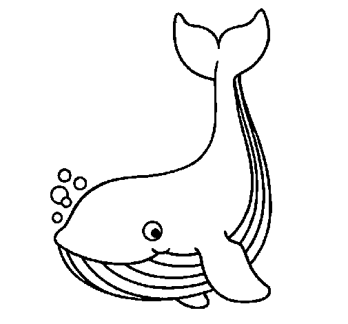 Dessin à colorier: Baleine (Animaux) #906 - Coloriages à imprimer