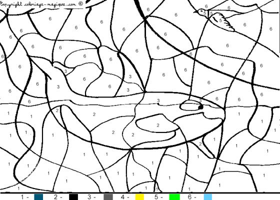 Dessin à colorier: Baleine (Animaux) #912 - Coloriages à Imprimer Gratuits