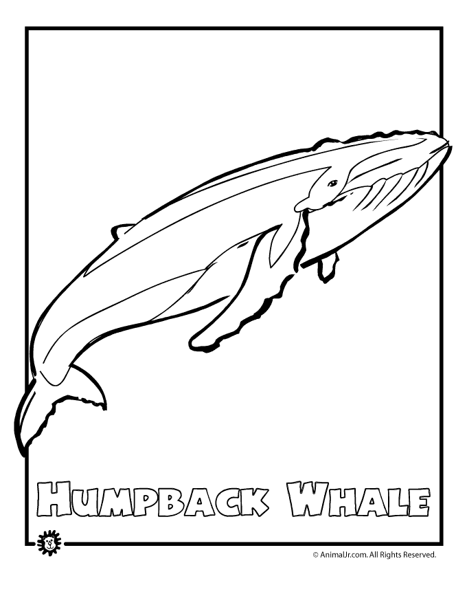 Dessin à colorier: Baleine (Animaux) #915 - Coloriages à Imprimer Gratuits