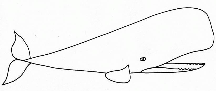 Dessin à colorier: Baleine (Animaux) #929 - Coloriages à imprimer