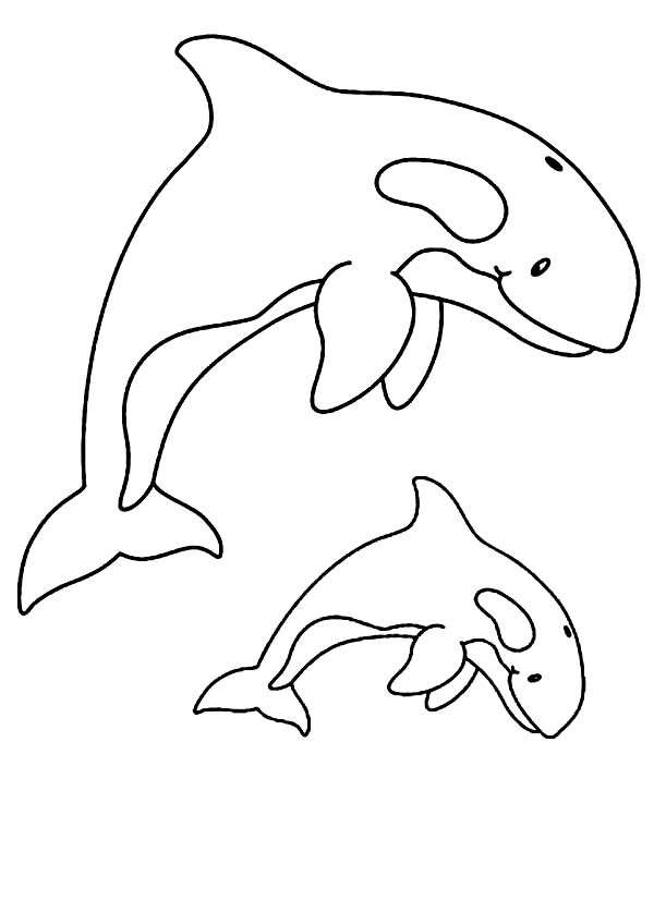 Dessin à colorier: Baleine (Animaux) #932 - Coloriages à imprimer