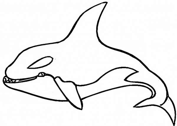 Dessin à colorier: Baleine (Animaux) #941 - Coloriages à imprimer