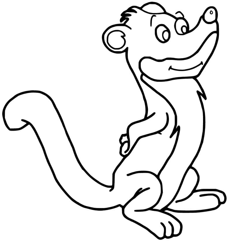Coloriage gratuit Belette #205425 de la collection Animaux à imprimer