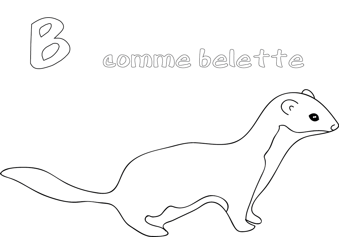 Dessin à colorier: Belette (Animaux) #964 - Coloriages à Imprimer Gratuits