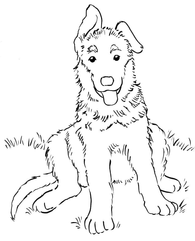 Dessin à colorier: Berger Allemand (Animaux) #214069 - Coloriages à Imprimer Gratuits
