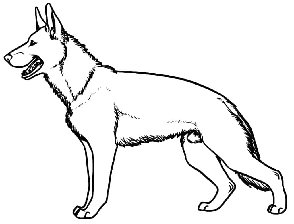 Dessin à colorier: Berger Allemand (Animaux) #214082 - Coloriages à Imprimer Gratuits