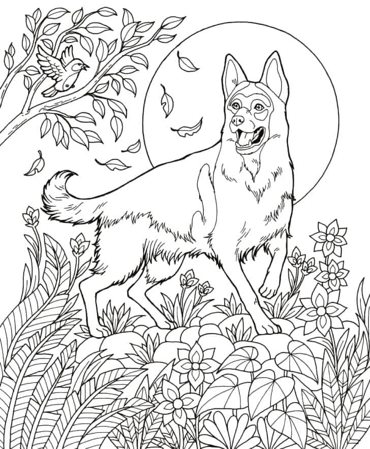 Coloriage gratuit Berger Allemand #214083 de la collection Animaux à imprimer