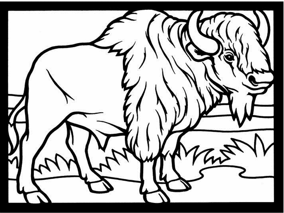 Dessin à colorier: Bison (Animaux) #1191 - Coloriages à imprimer