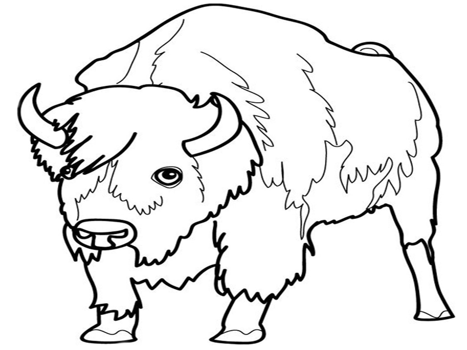 Dessin à colorier: Bison (Animaux) #1201 - Coloriages à imprimer