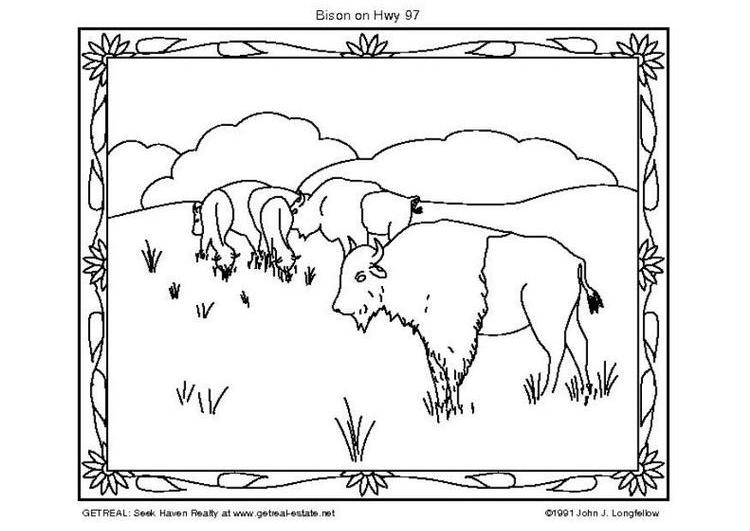 Dessin à colorier: Bison (Animaux) #1207 - Coloriages à Imprimer Gratuits