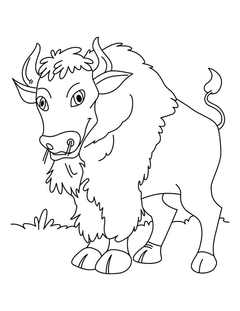Coloriage gratuit Bison #205528 de la collection Animaux à imprimer
