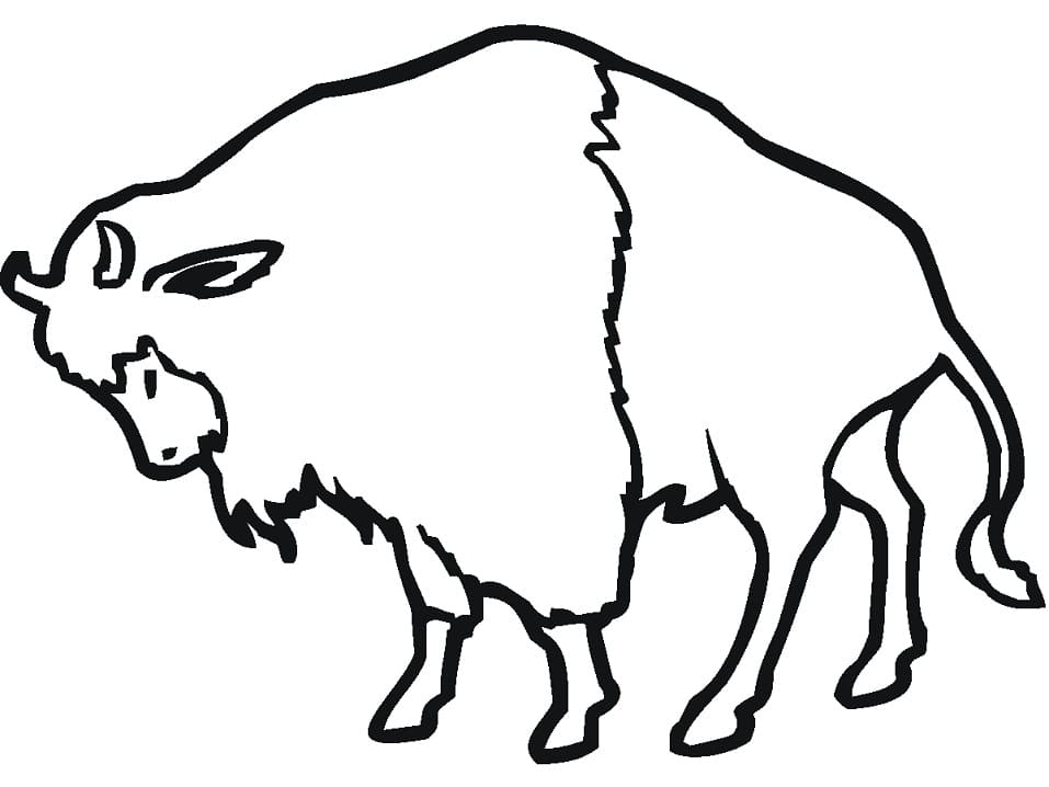 Coloriage gratuit Bison #205538 de la collection Animaux à imprimer