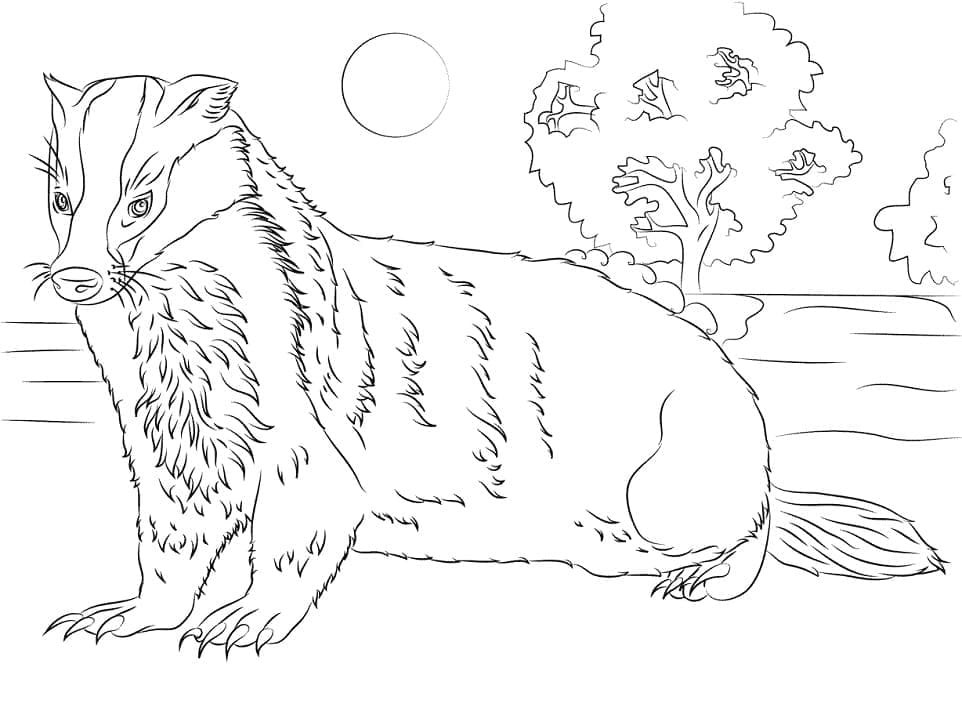 Coloriage gratuit Blaireau #208847 de la collection Animaux à imprimer