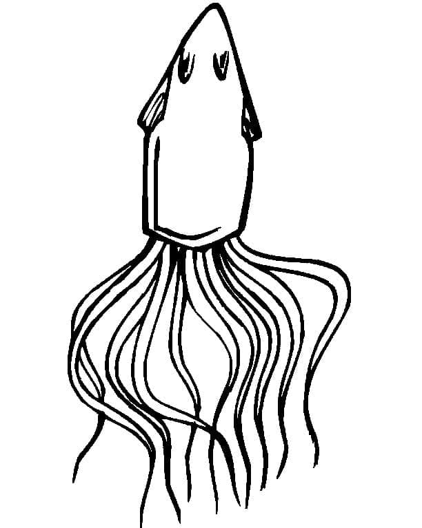 Joli coloriage Calmar #208877 de la collection Animaux, prêt à imprimer pour petits et grands