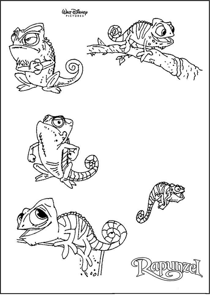 Dessin à colorier: Caméléon (Animaux) #1429 - Coloriages à Imprimer Gratuits
